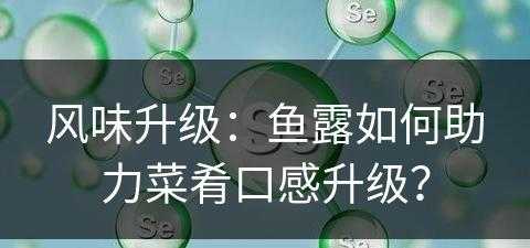 风味升级：鱼露如何助力菜肴口感升级？